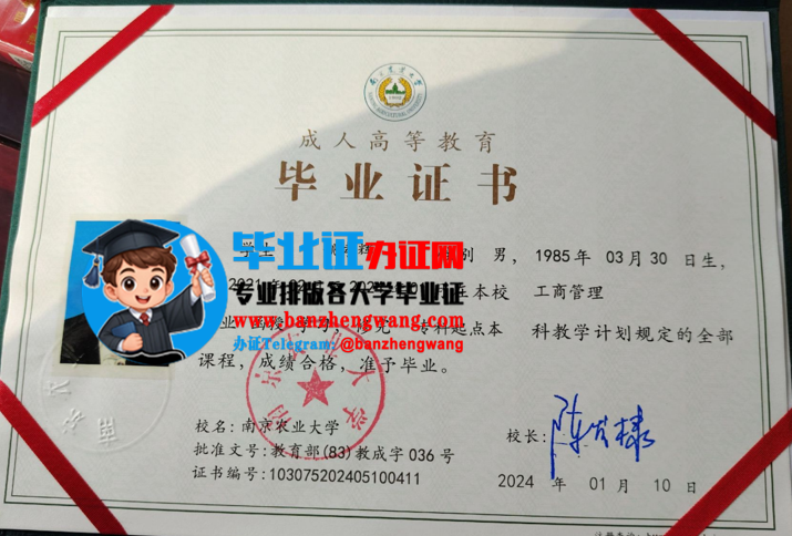 排版制作南京农业大学成人毕业证,南京农业大学函授毕业证书样本
