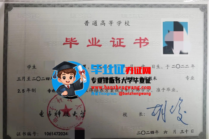 电子科技大学函授毕业证样本,排版制作电子科技大学成人毕业证