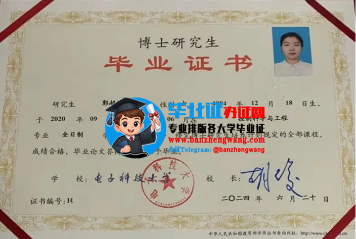 排版制作电子科技大学博士研究生毕业证,电子科技大学博士研究生毕业证样本