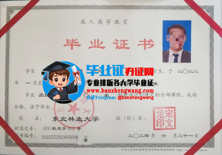 排版制作东北林业大学函授毕业证,办东北林业大学成人毕业证